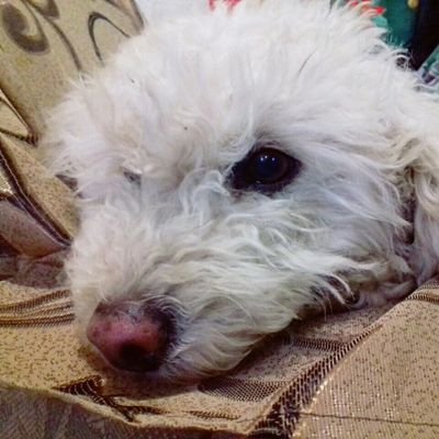 miriam_arcroq21's profile picture. Never be the same.