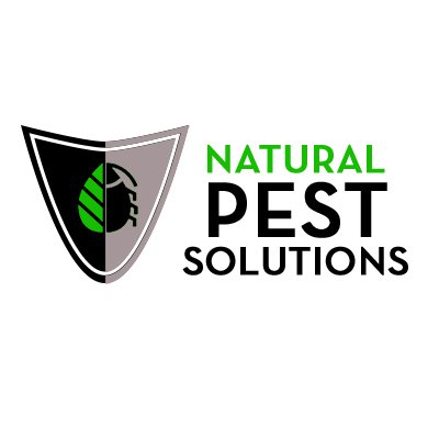 Best Kelowna Pest Control Company eradicating pests while ensuring no harm to the environment. We control and exterminate all problem insects and Rodents.