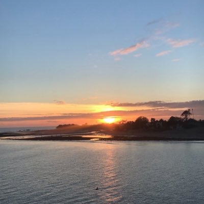 no5klkl's profile picture. 情報収集アカウント勉強中