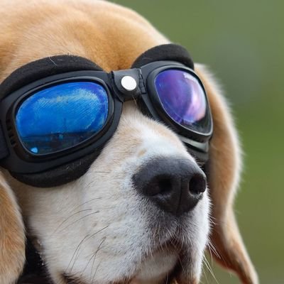 RIKU_MAX0907's profile picture. パズドラランク1100↑ 投稿あまりしないかもです、