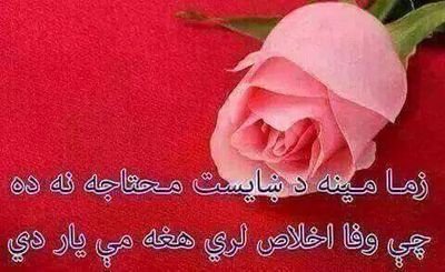 HidayatTaran's profile picture. Student