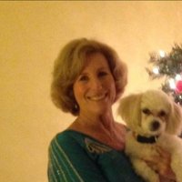 Sandy Bennett (@sandybennett83) 's Twitter Profile