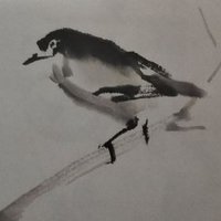 琥珀 (@kohaku0842dai) 's Twitter Profile