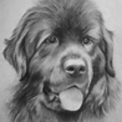 yannickschelfh1's profile picture. 