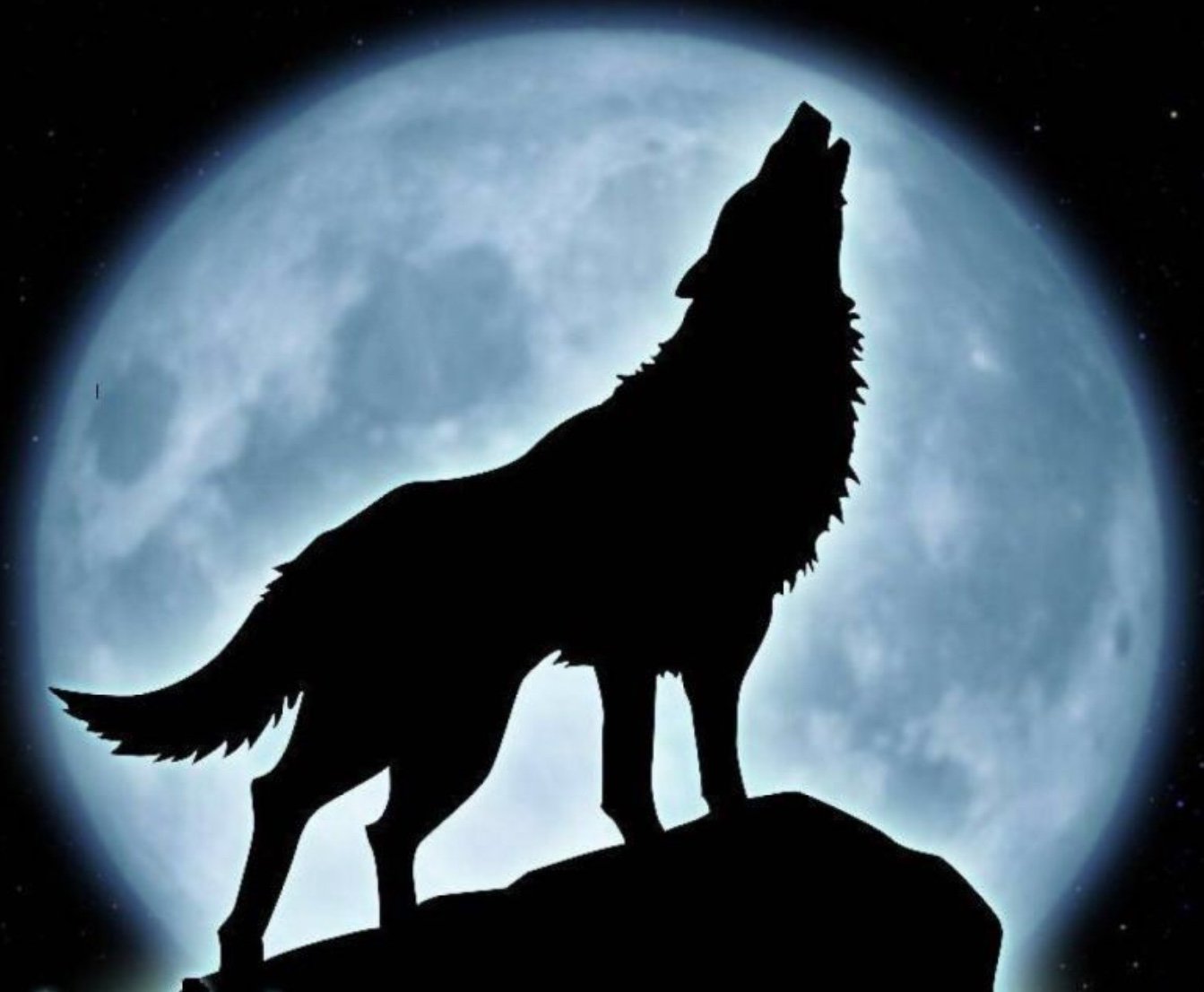 _la_leyenda_2B's profile picture. 