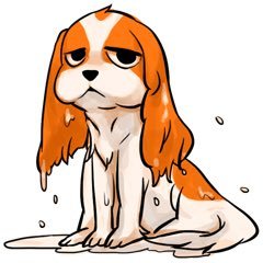 ナヲフ→🦋さんのプロフィール画像