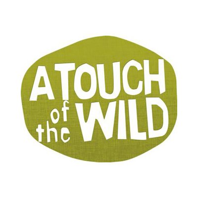 Go wild in the woods with us! Team building events, Birthday Parties, School & college visits, Woodland Adventure Club, & family days nr Exeter, Devon