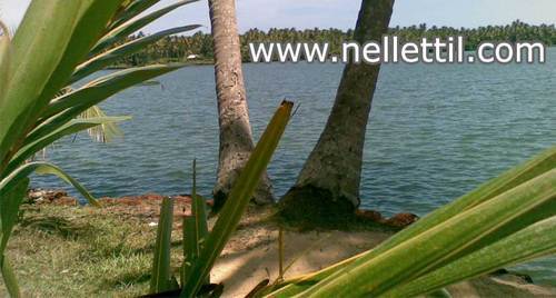 Nellettil, a piece of paradise you are yet to discover...