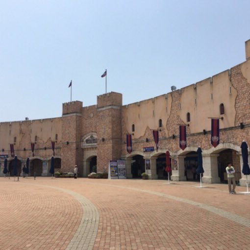 kireisssss's profile picture. 