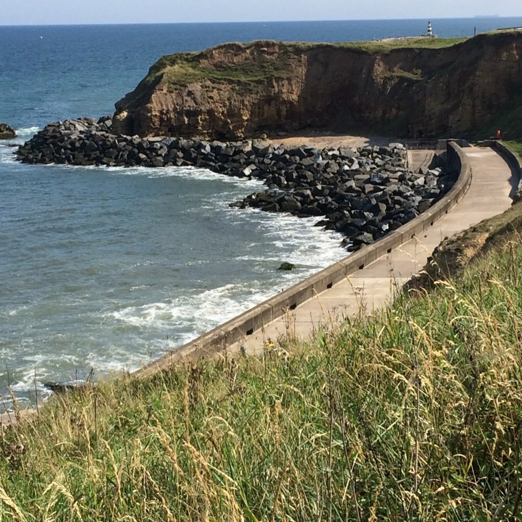 foxyboxin's profile picture. History and Theology student, parent to 3, wife to 1