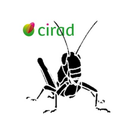 Locust ecology and management research at CIRAD-CBGP.