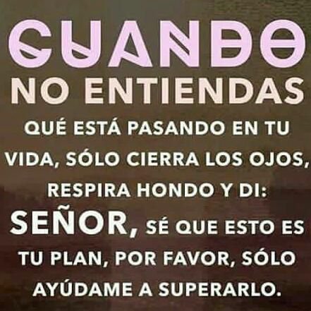 yonnytorres's profile picture. Guaro, Cardenarlero al 1000%, Soñador, padre de Ramsés, hijo de Alicia y trabajador incansable..Amo la vida!