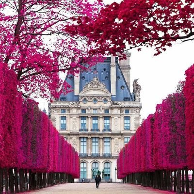 AfaqQur06841991's profile picture. property Dealer