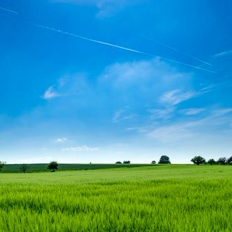 GreenZenZone's profile picture. 