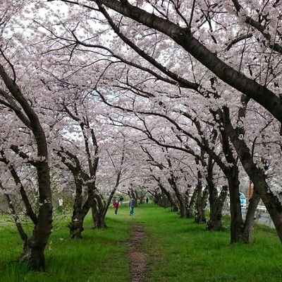 morisuma88's profile picture. 