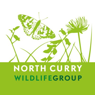 North Curry Wildlife Group. Looking after the Community Woodland and promoting awareness of the needs of wildlife in and around North Curry