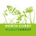 North Curry Wildlife (@ncurrywildlife) Twitter profile photo