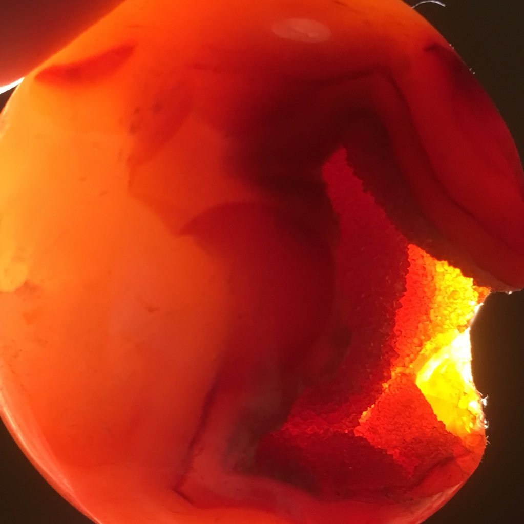 Spherical_Bird's profile picture. this is an account where I’m collecting art & tutorials that inspire me - not gonna be much personal activity here