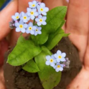 CleanTechWIN's profile picture. 