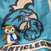 Coastal Carolina University Beta Gamma Sigma (@ccubgs) 's Twitter Profile