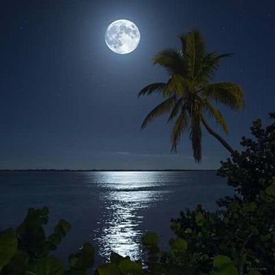 ActorAaha's profile picture. 