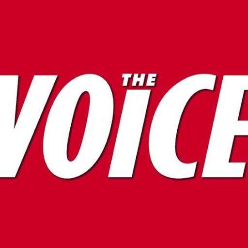 Media Consultlants!  The Voice provides research, resources and training to facilitate racial transformation in organizations, communities and individuals.