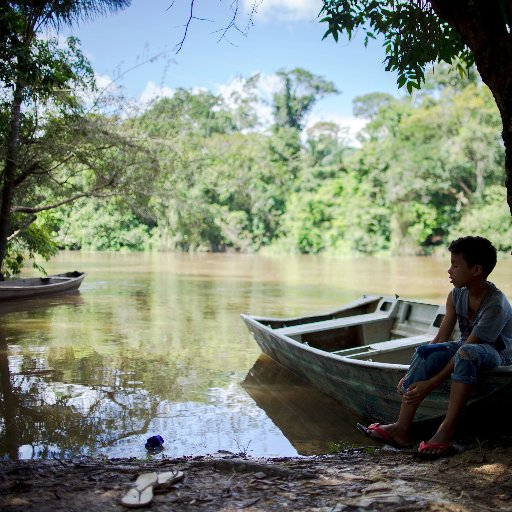 Site do Instituto Socioambiental (ISA), sobre as Unidades de Conservação no Brasil, Biodiversidade e assuntos correlatos