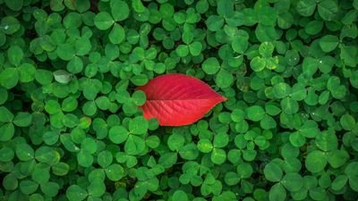 Sujith70036745's profile picture. 