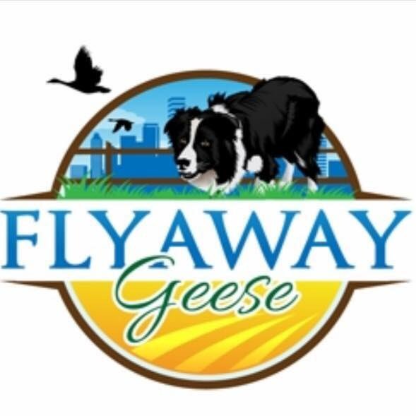 Professional & Certified Goose Control Services. Wildlife Management Border Collies & Dog Training. We Move Birds In A Humane & Effective Way! Est. 1997