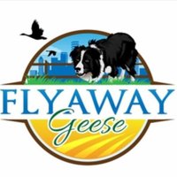 Flyaway Geese(@Flyawaygeese) 's Twitter Profileg