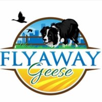 Flyaway Geese (@flyawaygeese) 's Twitter Profile