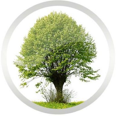 MulberryFC's profile picture. Mulberry Foster Care looks after you to look after others