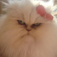 Ruth Hart (@_rmhart) 's Twitter Profile Photo Ruth Hart (@_rmhart) 's Twitter Profile Photo