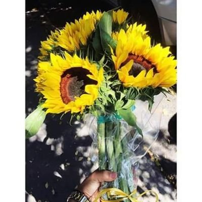 cielo_velz's profile picture. TM♥