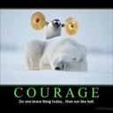 Sara Lacy-Pippins - @Snapshot - Twitter