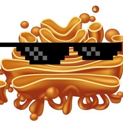 golgi apparatus golgiappar8us twitter