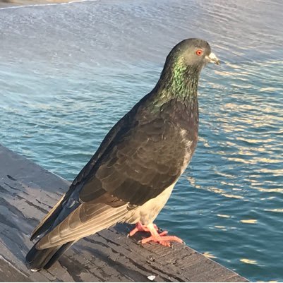 Spityogame22's profile picture. Gaming News Technology Amazing Gaming NFL Weird