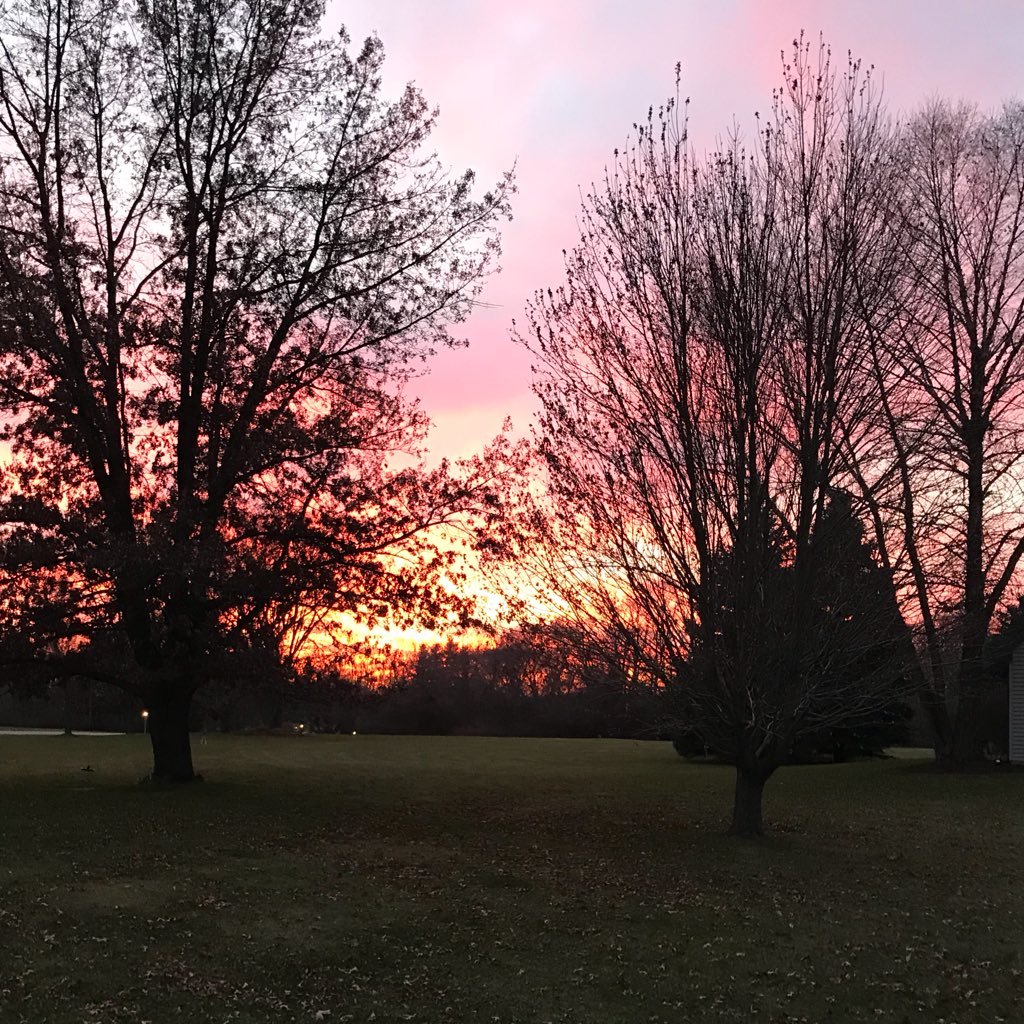 AliceJordan0's profile picture. 