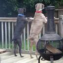 Jonathan Wade Stroud - @jonathan_stroud - Twitter