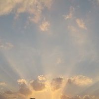 Ishwari (@apd1305) 's Twitter Profile