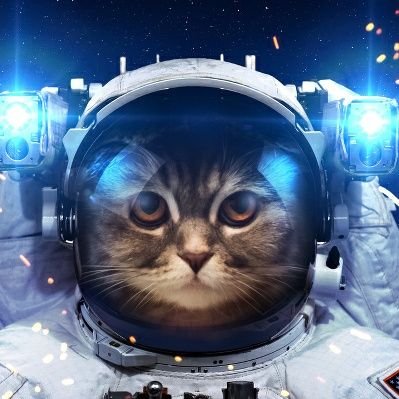 🪐Supreme Galactic Feline Leader🛰