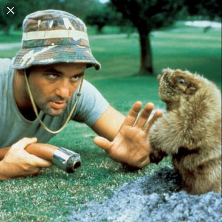 F3_Caddyshack Profile