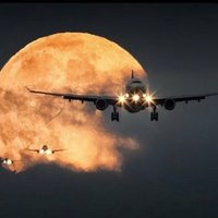 Jose Dominguez (@coliforme12) 's Twitter Profile