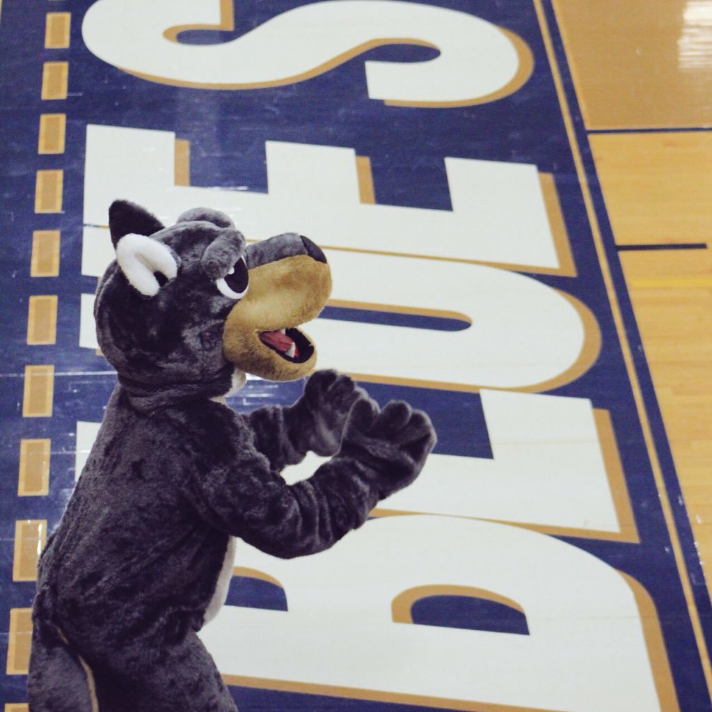 LoboJCU's profile picture. Mascot for @JohnCarrollU and @JCUSports ⚡️ Look for me around campus always supporting fellow Blue Streaks! #BlueStreakNation #StreakUp