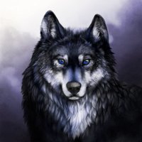 ☽ Harold875 ☾ | CODE: LOBO (@harold875) 's Twitter Profile