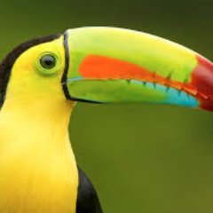 triotres's profile picture. Nací un buen dia, de una buena madre.