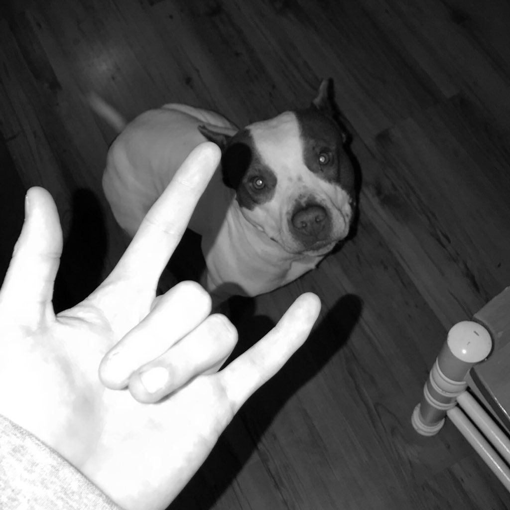 shelbyhensley14's profile picture. Rest Easy M.D. 💙