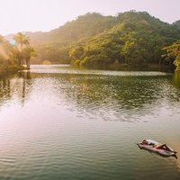 Magoroto Forest Estate (@magorotoforest) 's Twitter Profile