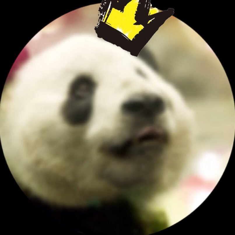 ja_uuu74's profile picture. 