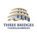 Three Bridges (@ThreeBridges1) Twitter profile photo